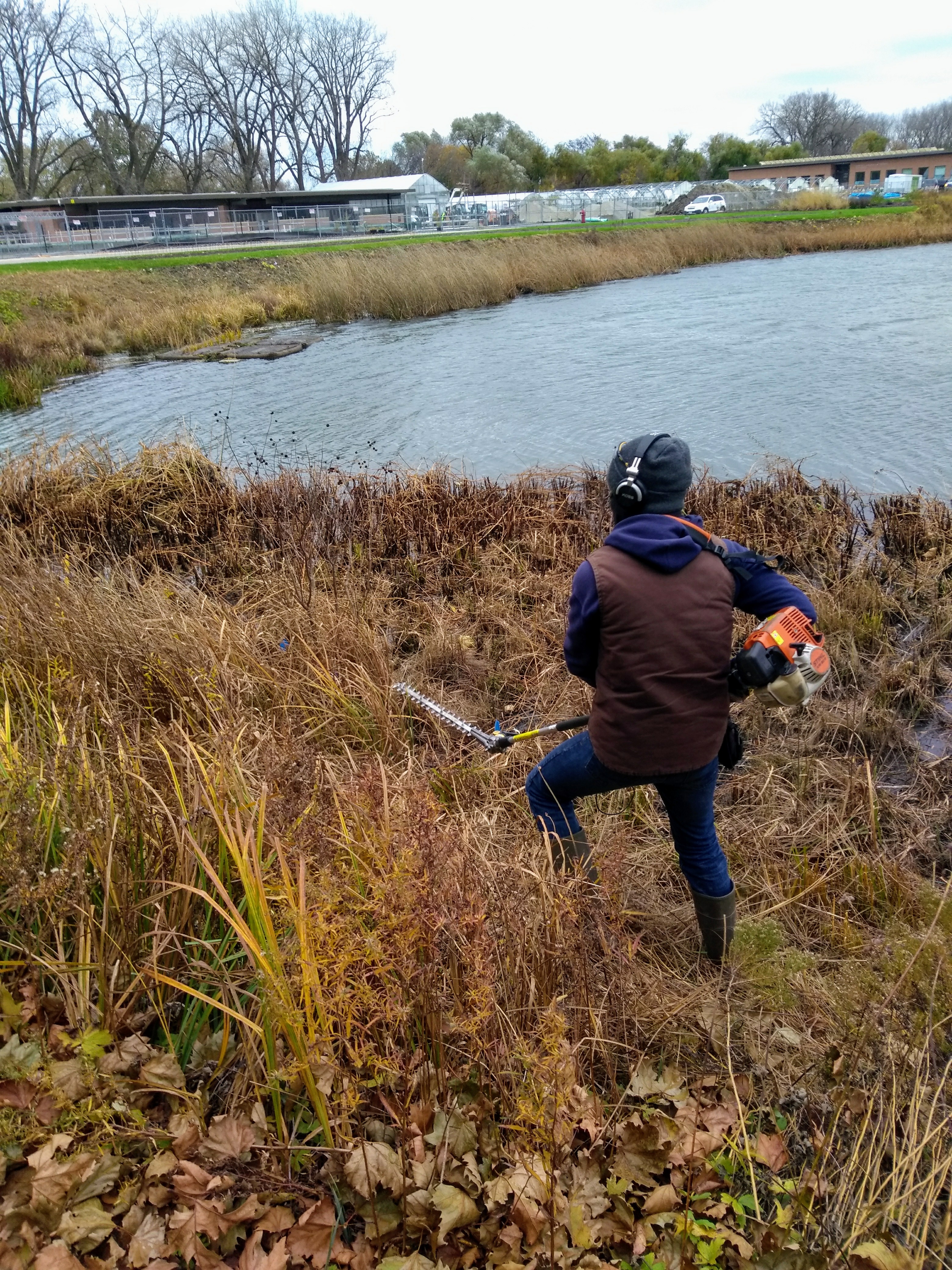 Cutting down the shoreline